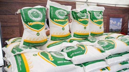 alimentos