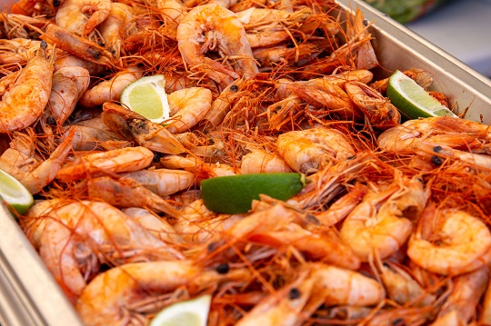 festival gastronómico