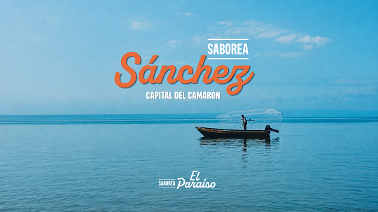 camarón