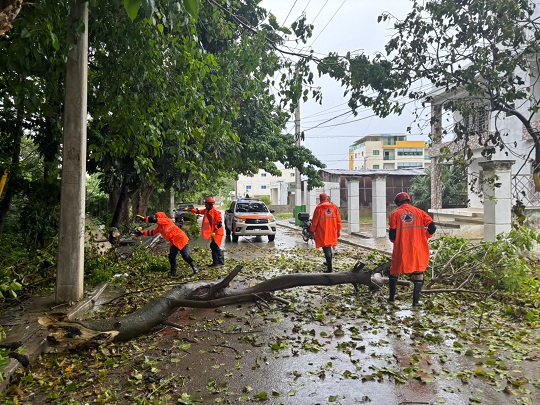 Defensa